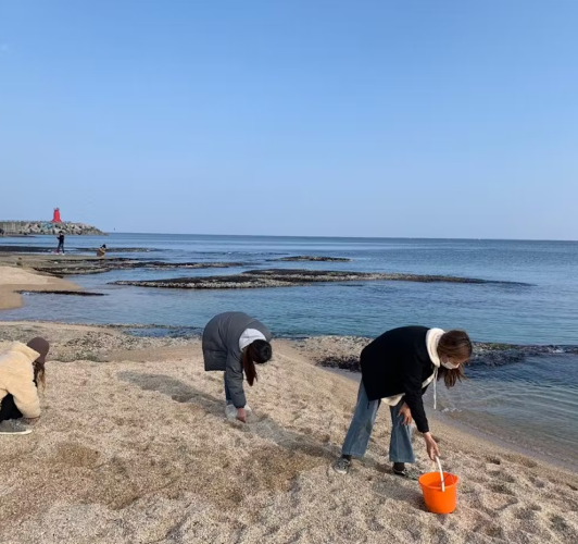 바다 한 조각 이미지2